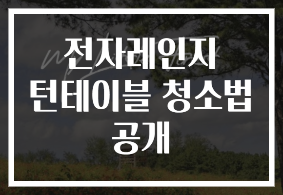 전자레인지 턴테이블 청소법 공개