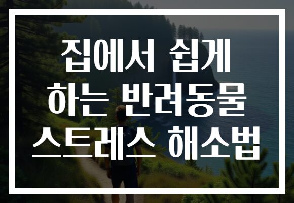 집에서 쉽게 하는 반려동물 스트레스 해소법