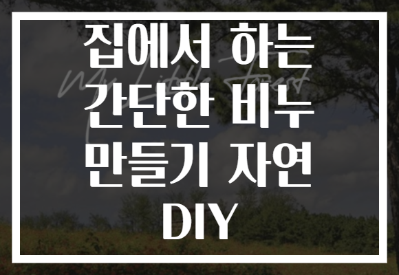 집에서 하는 간단한 비누 만들기 자연 DIY