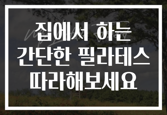집에서 하는 간단한 필라테스 따라해보세요