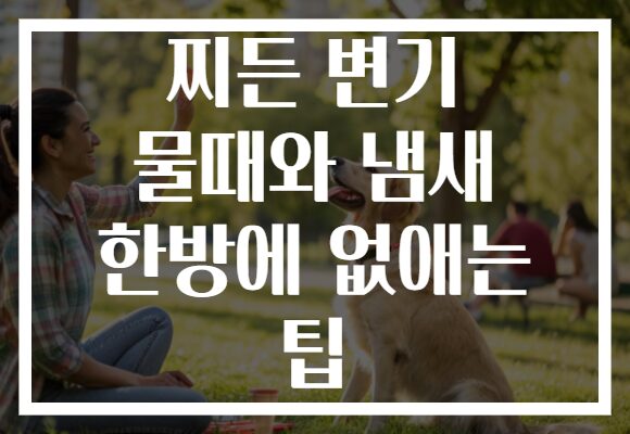 찌든 변기 물때와 냄새 한방에 없애는 팁