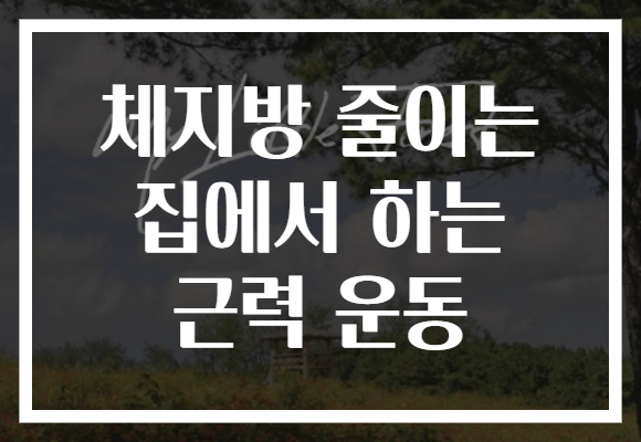 체지방 줄이는 집에서 하는 근력 운동