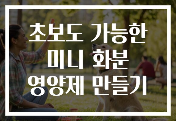 초보도 가능한 미니 화분 영양제 만들기