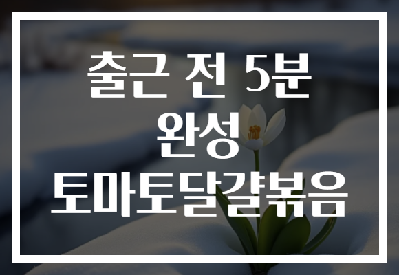 출근 전 5분 완성 토마토달걀볶음