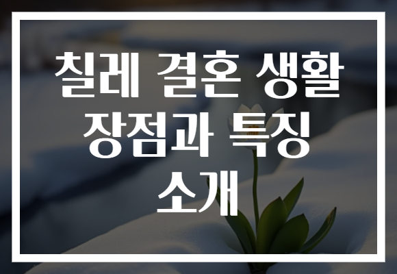 칠레 결혼 생활 장점과 특징 소개