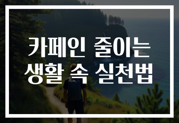 카페인 줄이는 생활 속 실천법