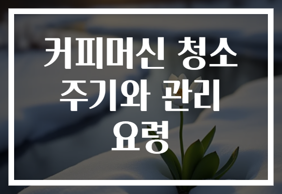 커피머신 청소 주기와 관리 요령
