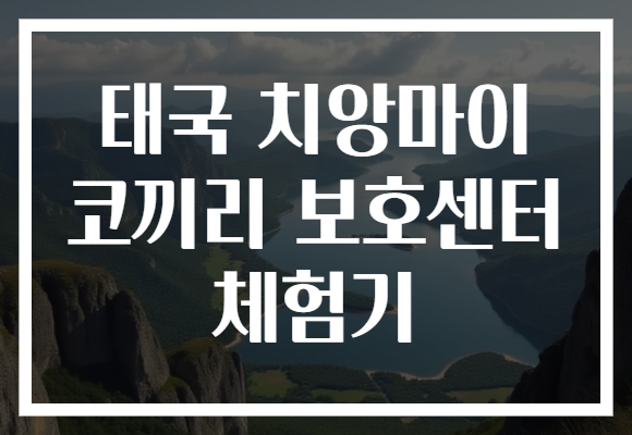 태국 치앙마이 코끼리 보호센터 체험기