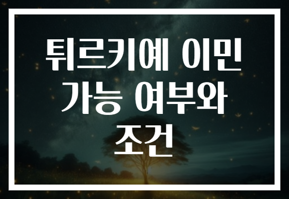 튀르키예 이민 가능 여부와 조건