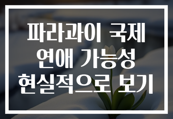 파라과이 국제 연애 가능성 현실적으로 보기