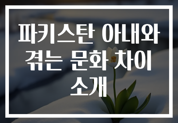 파키스탄 아내와 겪는 문화 차이 소개