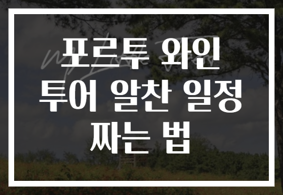 포르투 와인 투어 알찬 일정 짜는 법