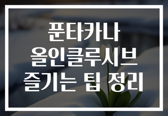 푼타카나 올인클루시브 즐기는 팁 정리