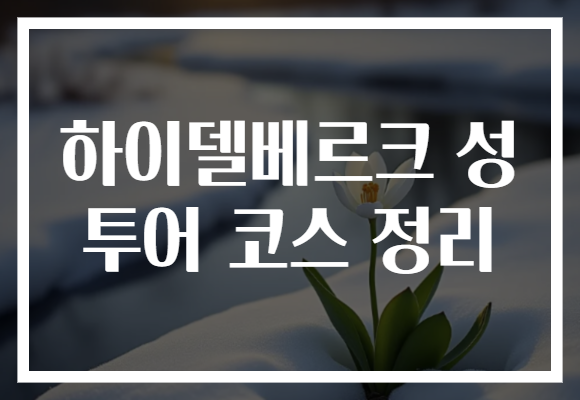 하이델베르크 성 투어 코스 정리