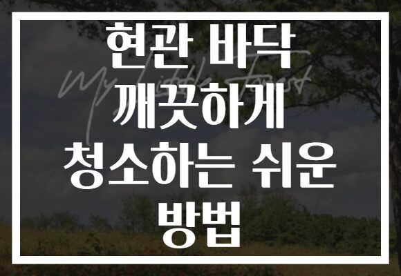 현관 바닥 깨끗하게 청소하는 쉬운 방법