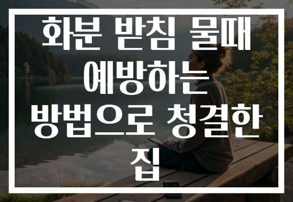 화분 받침 물때 예방하는 방법으로 청결한 집