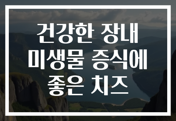 건강한 장내 미생물 증식에 좋은 치즈