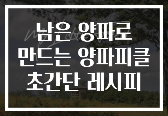 남은 양파로 만드는 양파피클 초간단 레시피