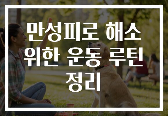 만성피로 해소 위한 운동 루틴 정리