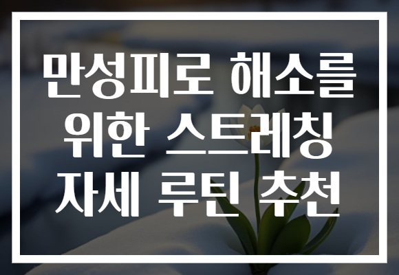 만성피로 해소를 위한 스트레칭 자세 루틴 추천