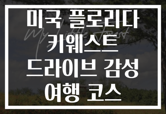 미국 플로리다 키웨스트 드라이브 감성 여행 코스