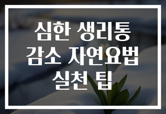 심한 생리통 감소 자연요법 실천 팁