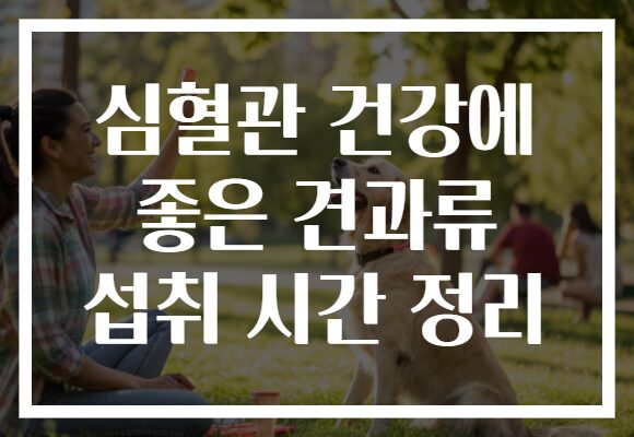 심혈관 건강에 좋은 견과류 섭취 시간 정리