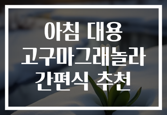 아침 대용 고구마그래놀라 간편식 추천