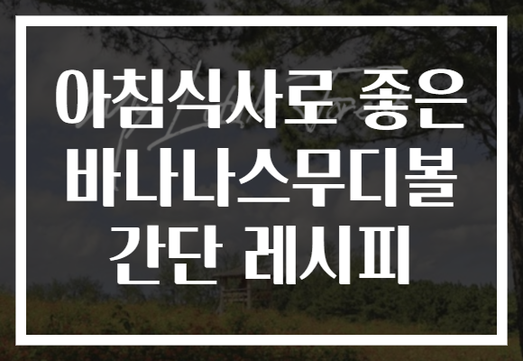 아침식사로 좋은 바나나스무디볼 간단 레시피