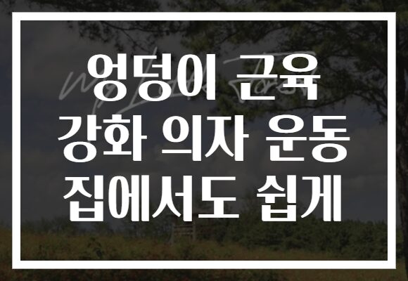 엉덩이 근육 강화 의자 운동 집에서도 쉽게