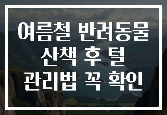 여름철 반려동물 산책 후 털 관리법 꼭 확인