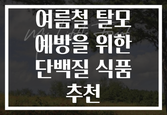 여름철 탈모 예방을 위한 단백질 식품 추천