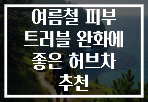 여름철 피부 트러블 완화에 좋은 허브차 추천