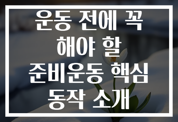 운동 전에 꼭 해야 할 준비운동 핵심 동작 소개