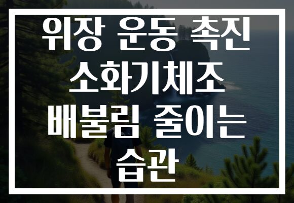 위장 운동 촉진 소화기체조 배불림 줄이는 습관