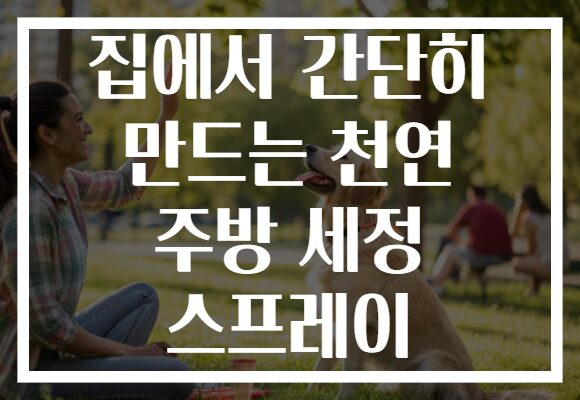 집에서 간단히 만드는 천연 주방 세정 스프레이