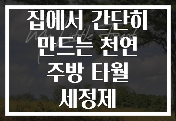 집에서 간단히 만드는 천연 주방 타월 세정제