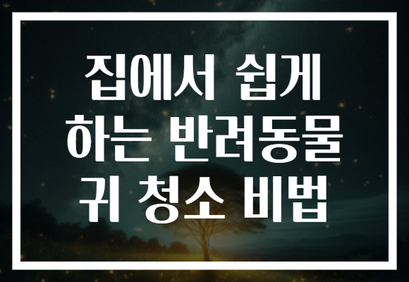 집에서 쉽게 하는 반려동물 귀 청소 비법