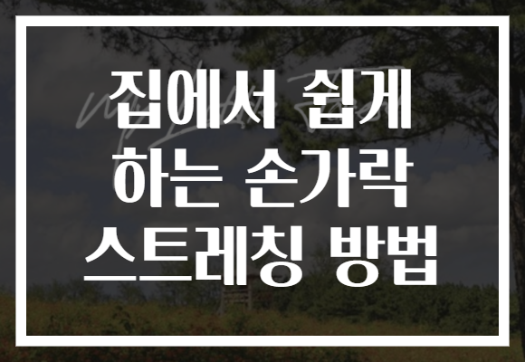 집에서 쉽게 하는 손가락 스트레칭 방법