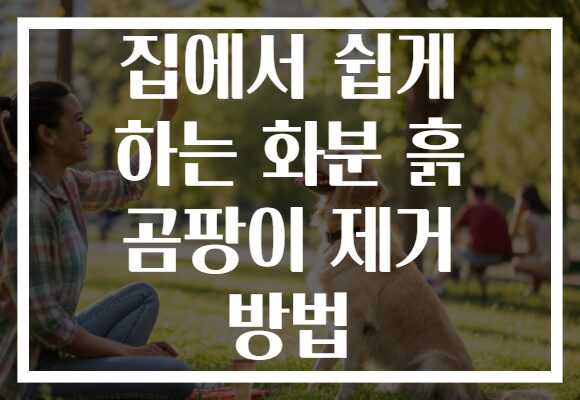 집에서 쉽게 하는 화분 흙 곰팡이 제거 방법
