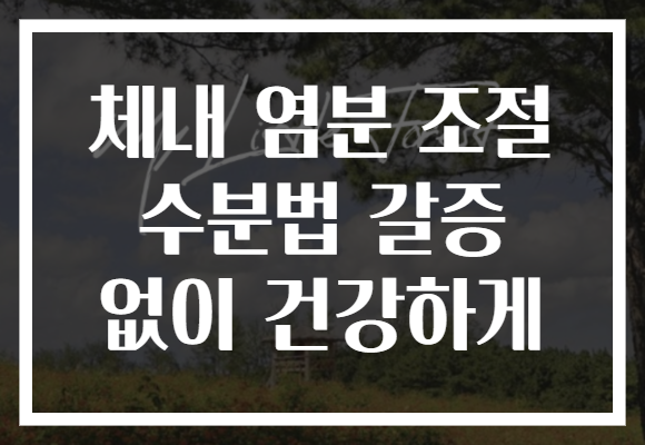 체내 염분 조절 수분법 갈증 없이 건강하게