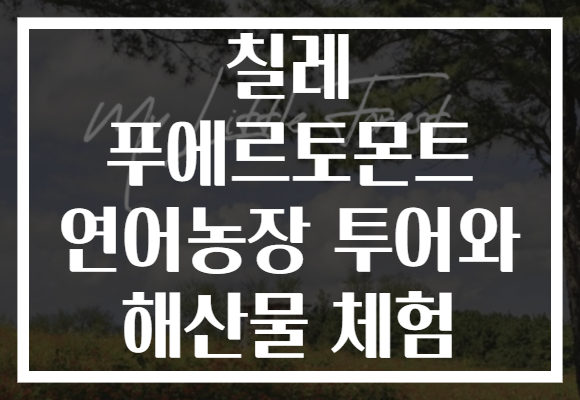 칠레 푸에르토몬트 연어농장 투어와 해산물 체험