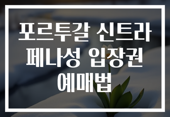 포르투갈 신트라 페나성 입장권 예매법