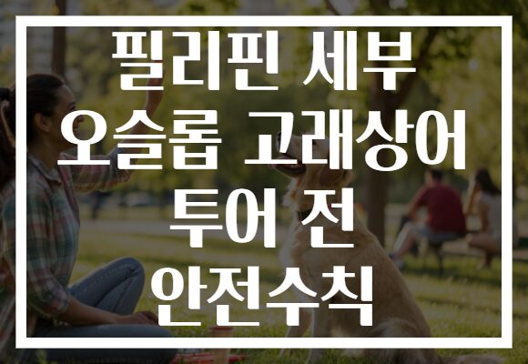 필리핀 세부 오슬롭 고래상어 투어 전 안전수칙