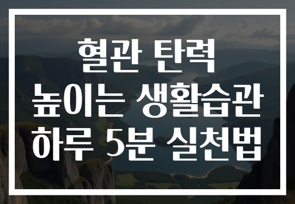 혈관 탄력 높이는 생활습관 하루 5분 실천법