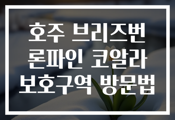호주 브리즈번 론파인 코알라 보호구역 방문법