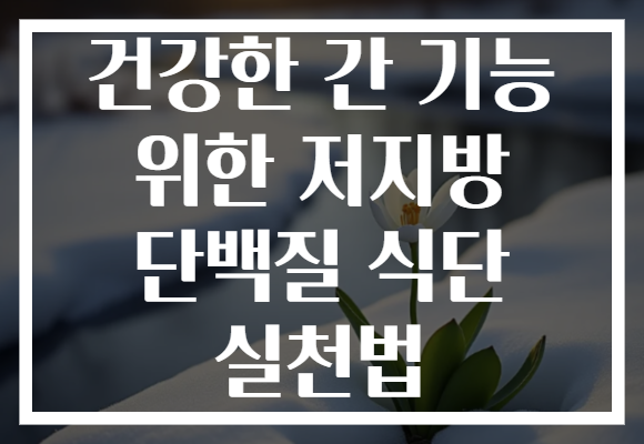 건강한 간 기능 위한 저지방 단백질 식단 실천법