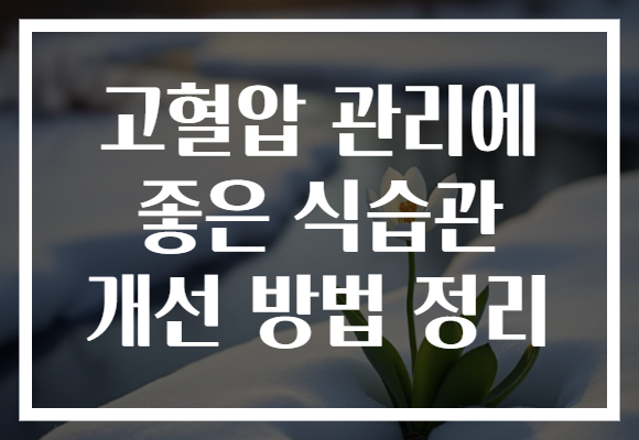 고혈압 관리에 좋은 식습관 개선 방법 정리