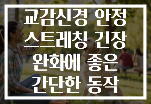 교감신경 안정 스트레칭 긴장 완화에 좋은 간단한 동작