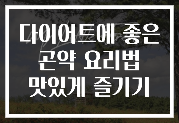다이어트에 좋은 곤약 요리법 맛있게 즐기기